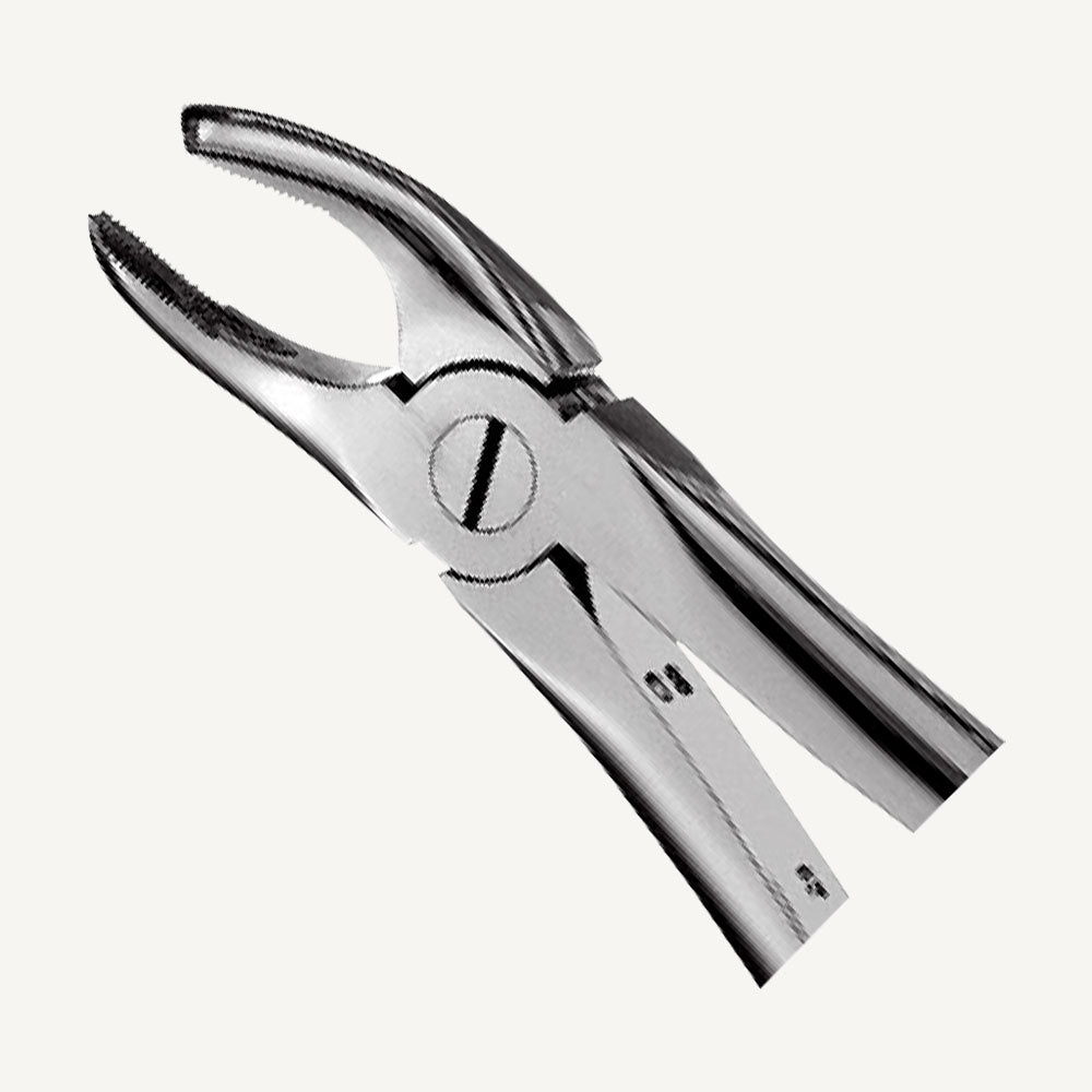 17 Right Upper Molars Forceps
