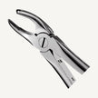 17 Right Upper Molars Forceps