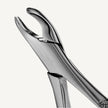 18R Upper Molar Forceps, Thumb Hook