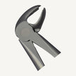 22 Lower Molars Forceps