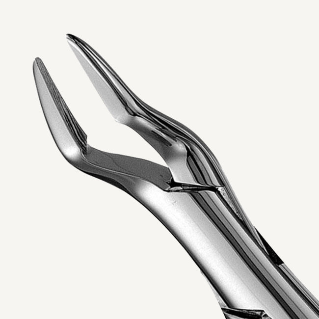 32 Parmly Upper Universal Forceps