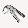 33A Lower Roots Forceps