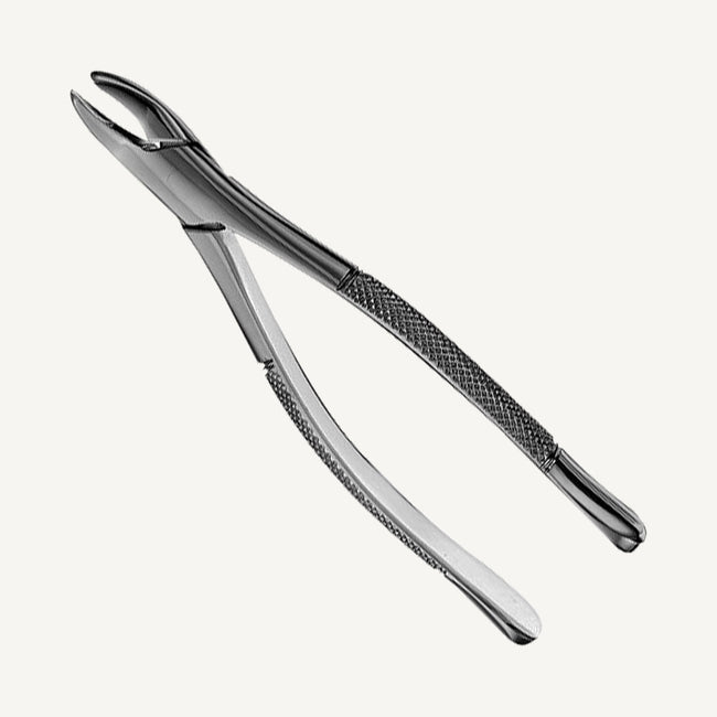 62 Upper And Lower Universal Forceps