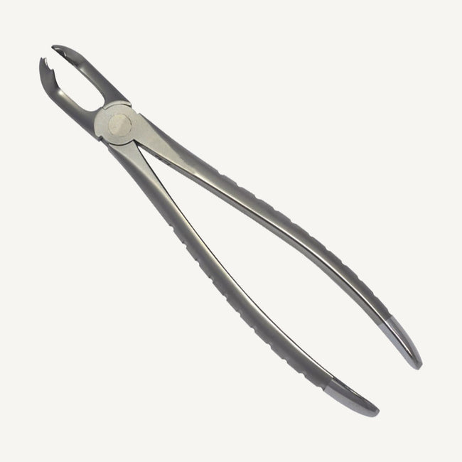 79 Lower 3rd Molars Forceps