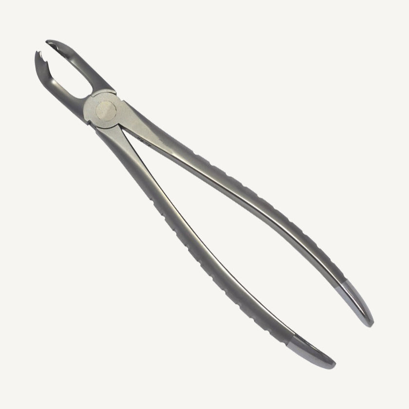 79 Lower 3rd Molars Forceps