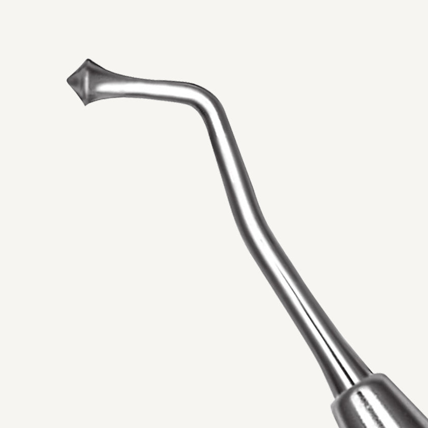 Acorn Burnisher 21B