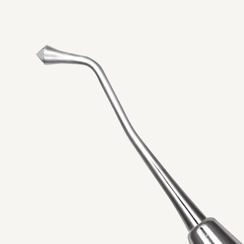 Acorn Burnisher 21