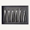 Atraumatic Extraction Forceps Set (Serrated)