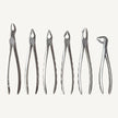 Atraumatic Extraction Forceps Set (Serrated)