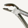 Atraumatic Extraction Forceps Set (Serrated)