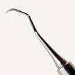 Barnhart Curette 5/6