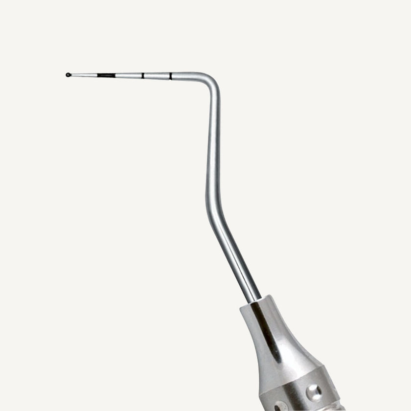 CP12/WHO Probe DE