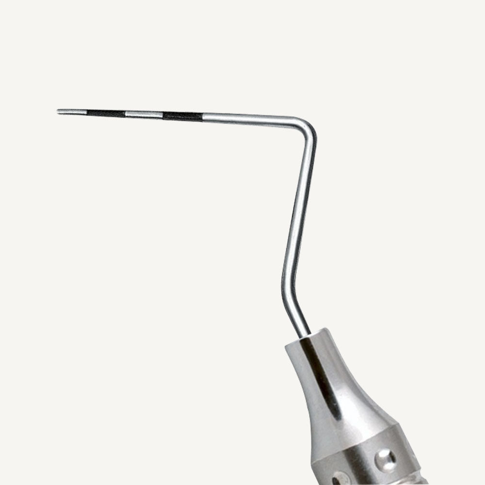 CP12/WHO Probe DE