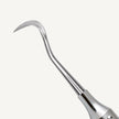 Carving Knife 14L