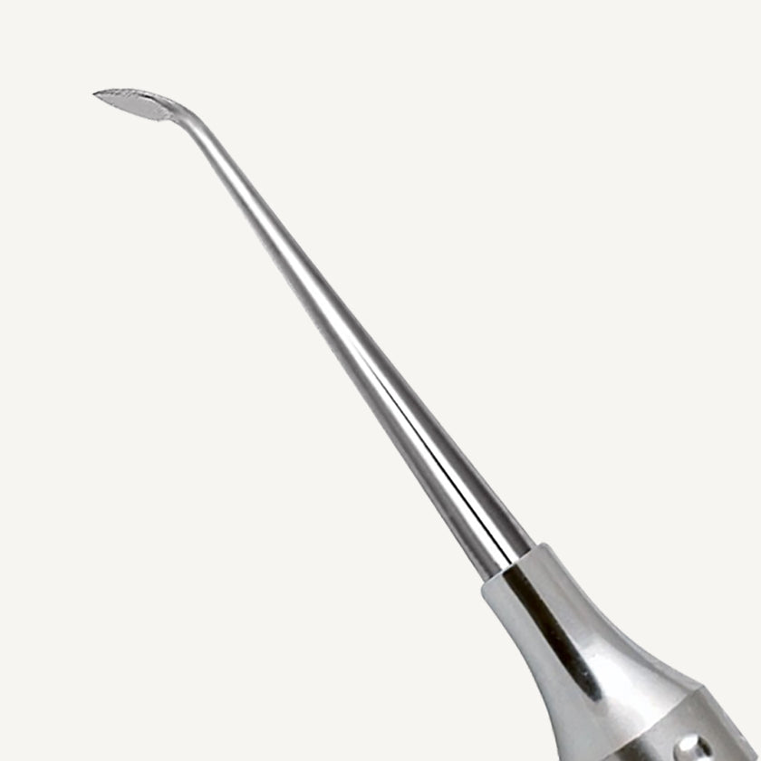Cleoid Discoid Carver 2