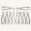 Extraction Forceps Set