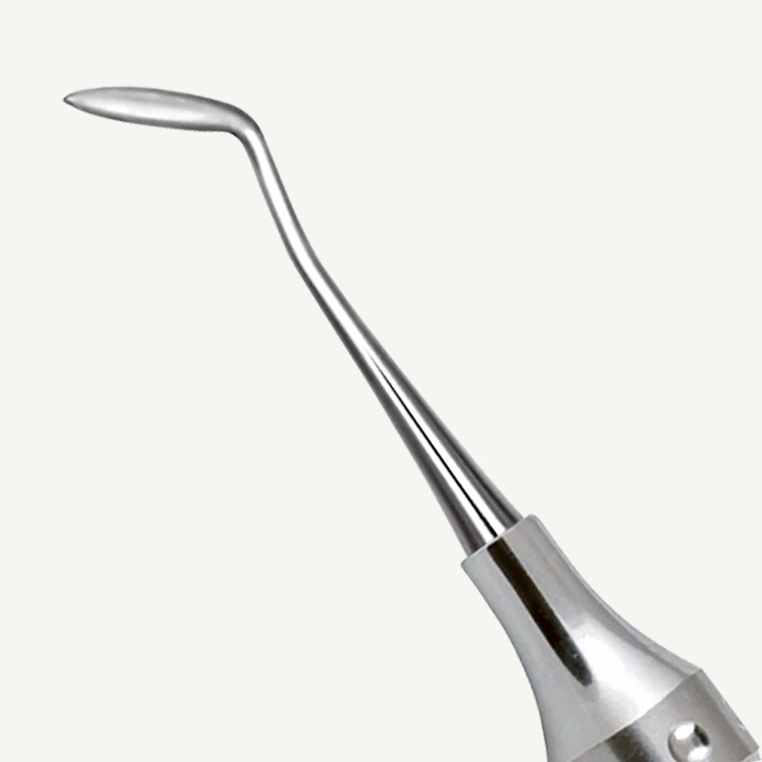 Hollenback Carver 1/2