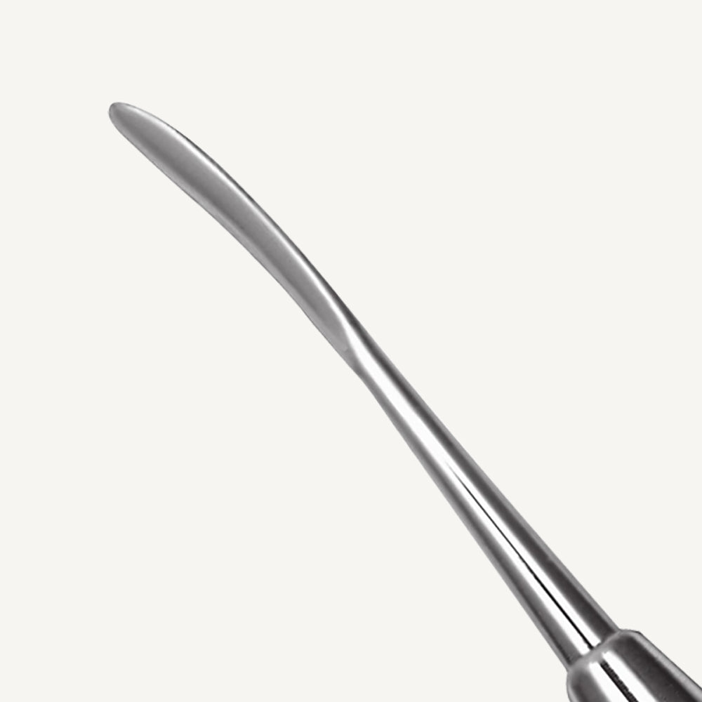 Ladmore Beavertail Burnisher 2