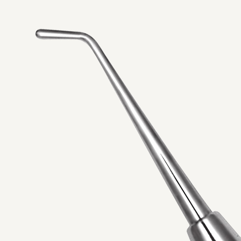 Ladmore Burnisher 2