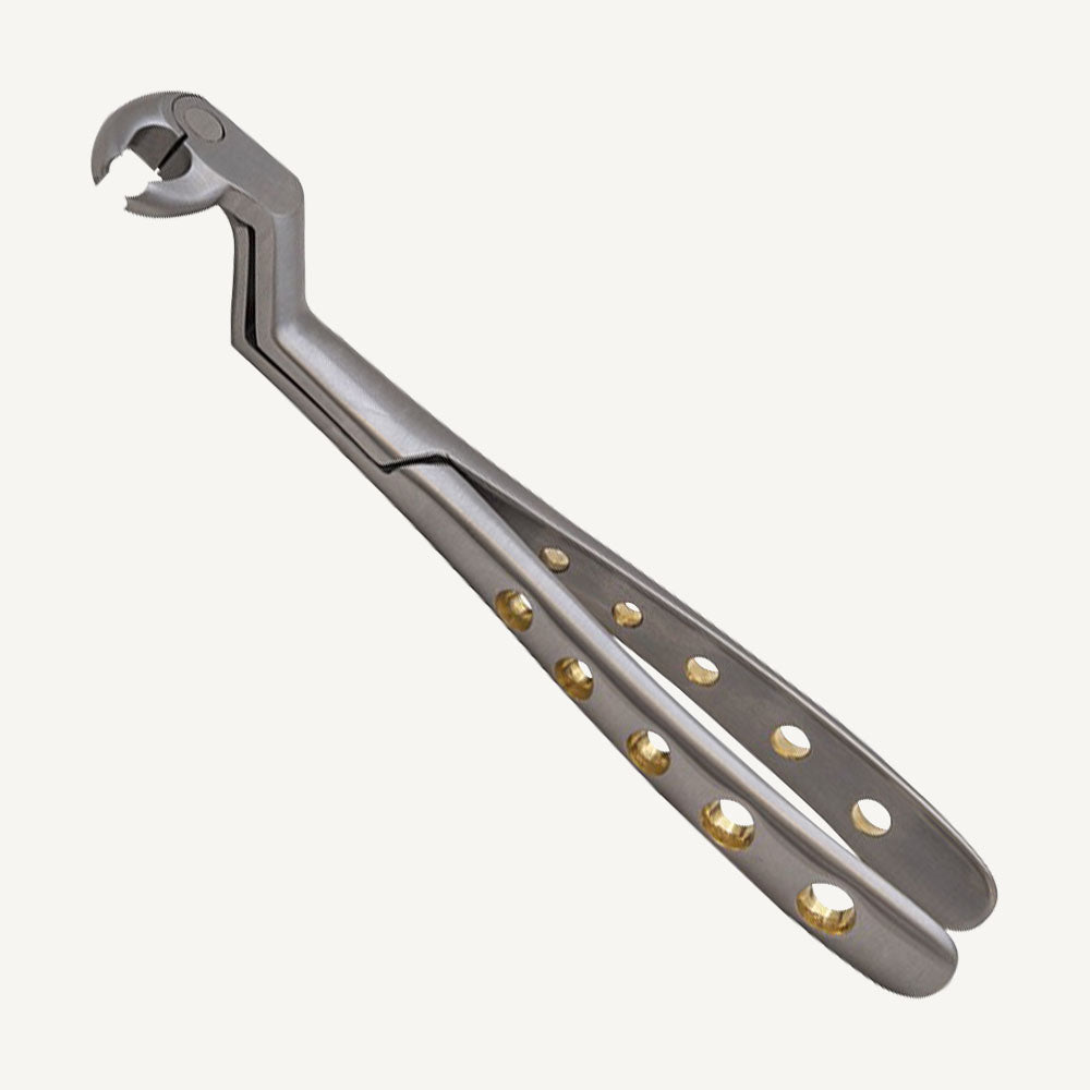 Lower Molars And Wisdom Right Forceps