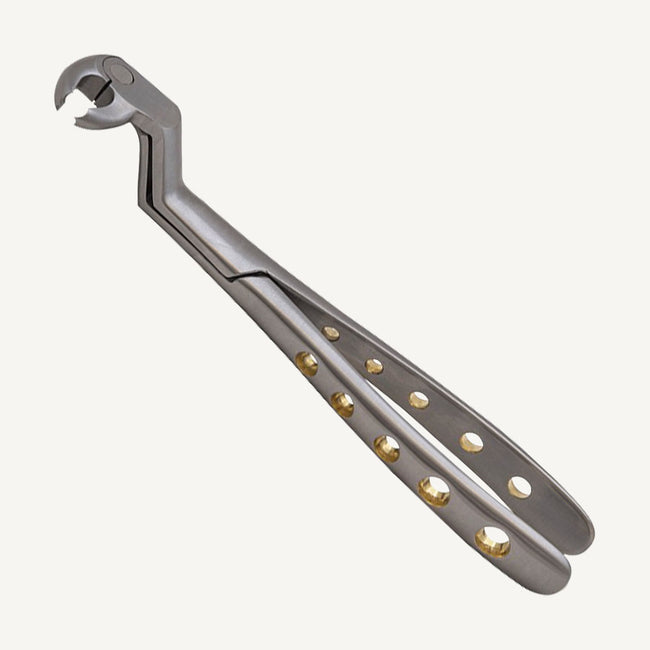 Lower Molars And Wisdom Right Forceps