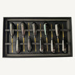 Doctor Naef’s Luxating Elevator Set