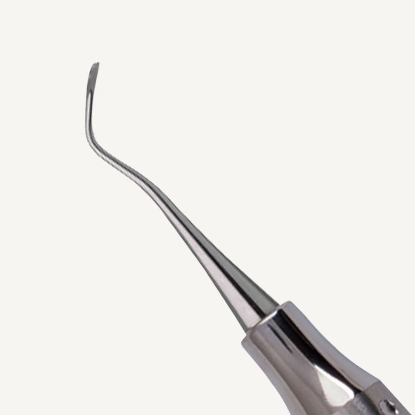 Nevi 1 Anterior