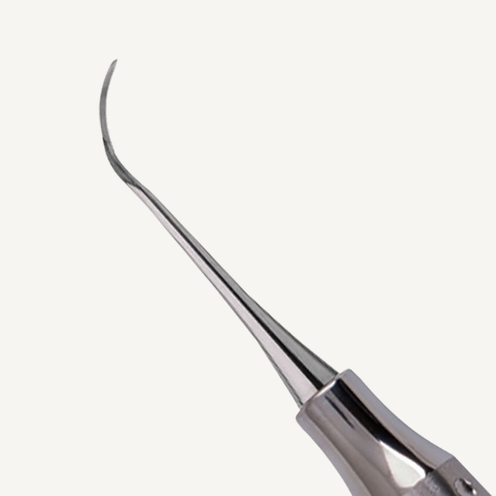 Nevi 3 Posterior