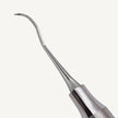 Sickle Scaler 204SD