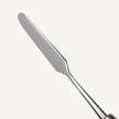 Spatula Placement Instrument 2