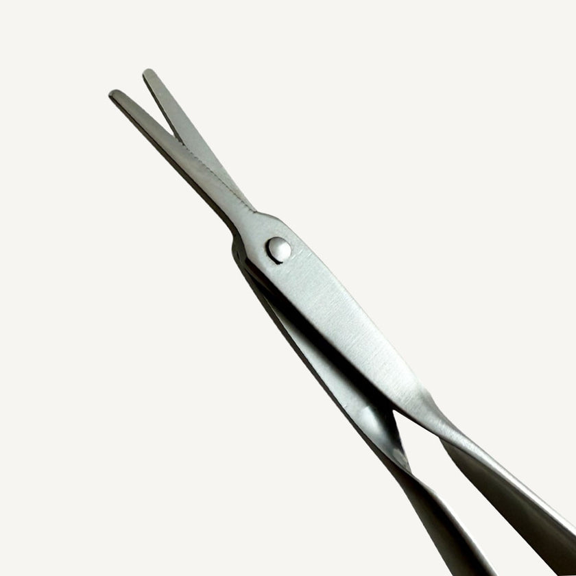 Suture Removal Scissors STR