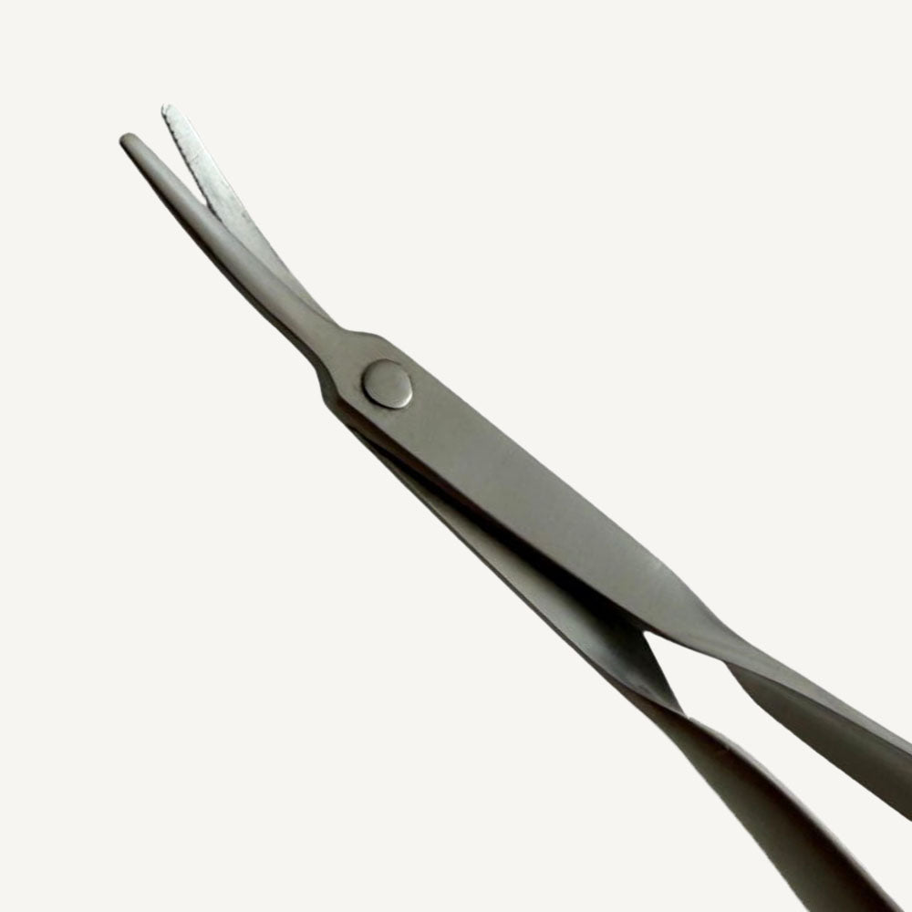 Suture Removal Scissors CVD