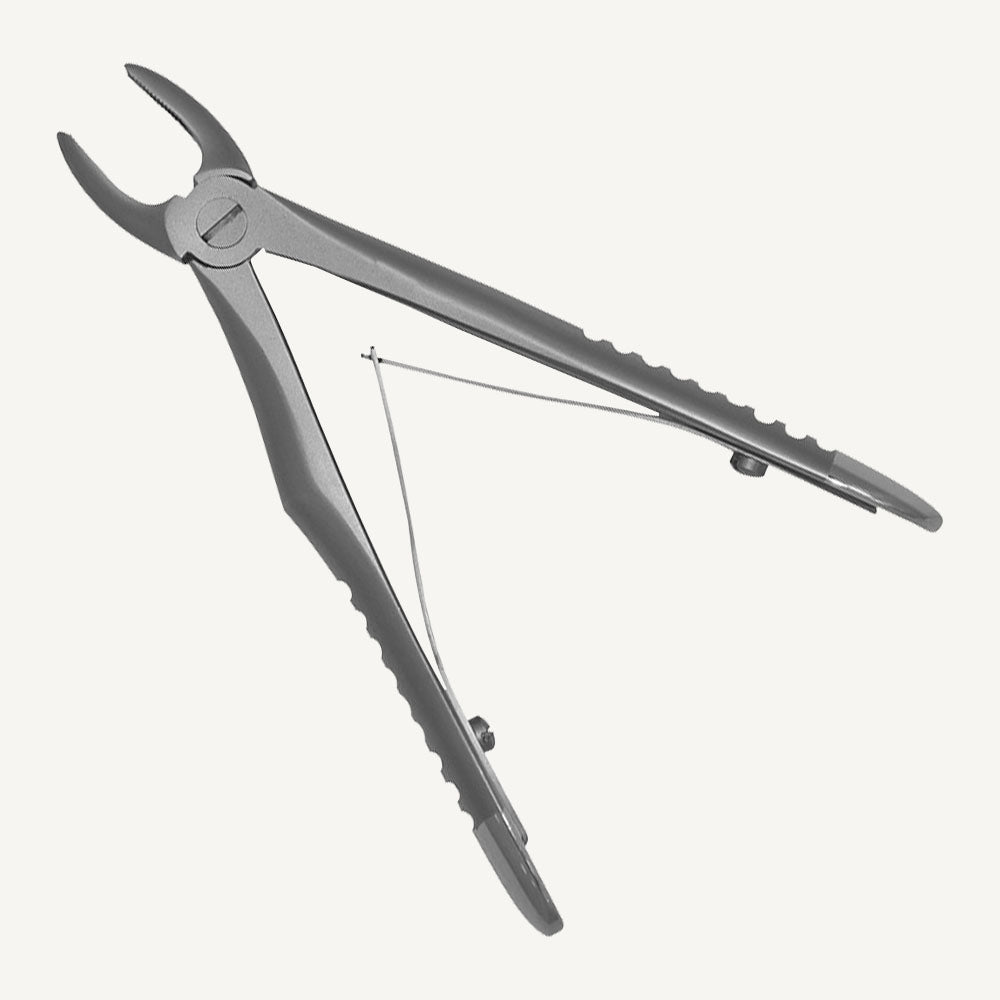 Upper Incisors