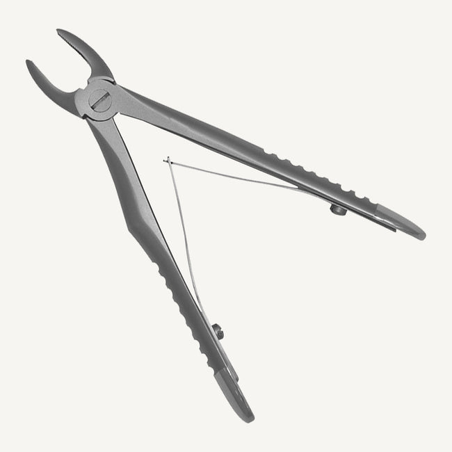 Upper Incisors