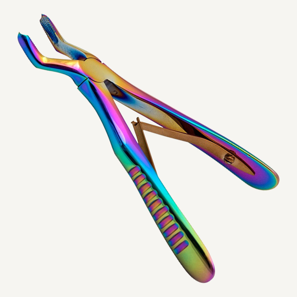 Upper Molars