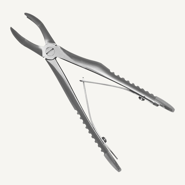 Upper Molars
