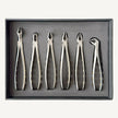 Extraction Forceps Set (Serrated)