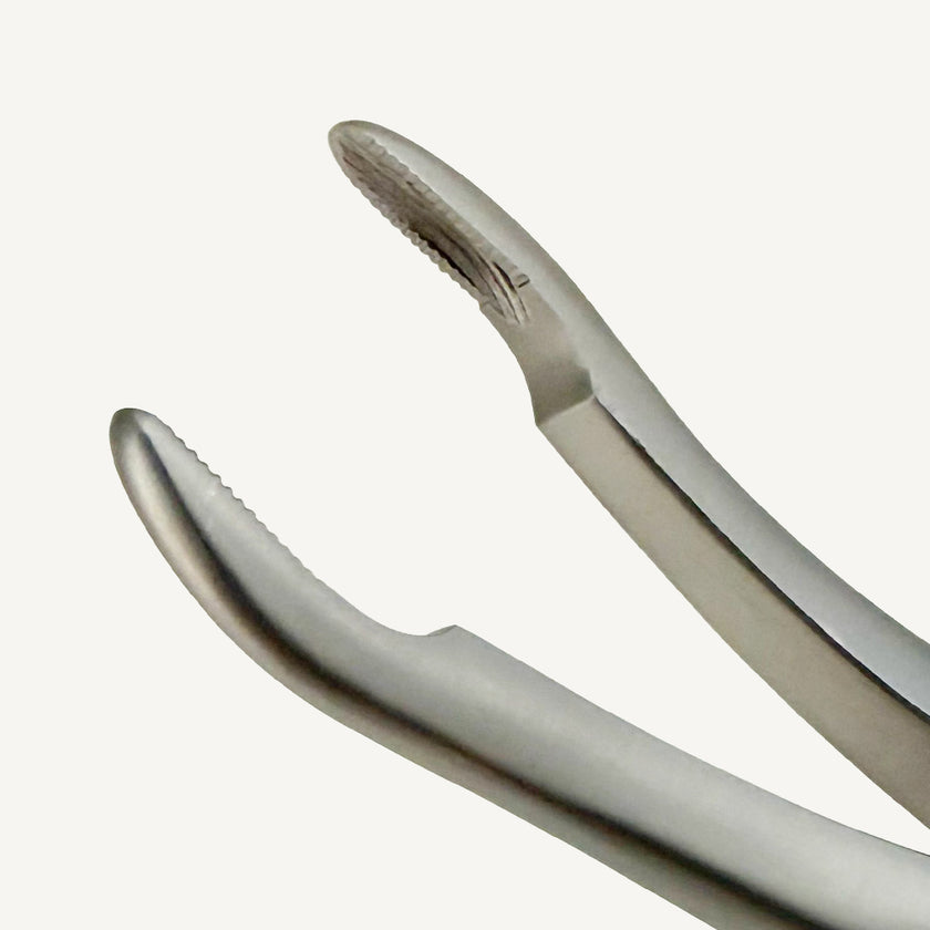 Upper Roots Fragments Extraction Forceps