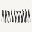 Doctor Naef’s Extracting Forceps Set