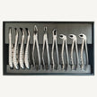 Extraction Forceps Set
