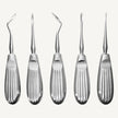 Hylin Root Elevators Set