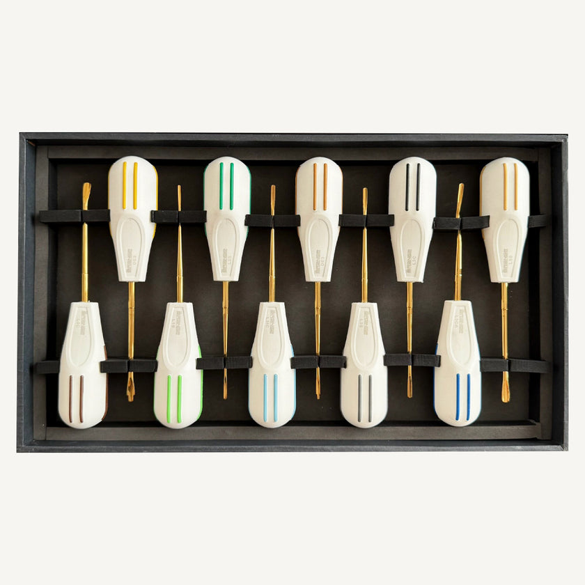 Luxating Elevator Set