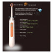 LED Curing Light