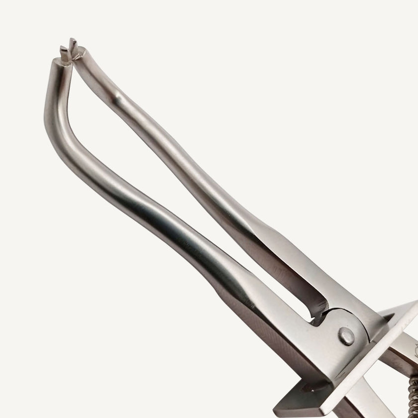 Brewer Rubber Dam Clamp Forceps
